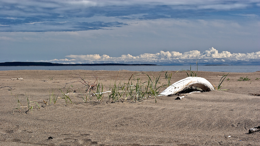 Parc national de l'Archipel-de-Mingan, Côte-Nord.