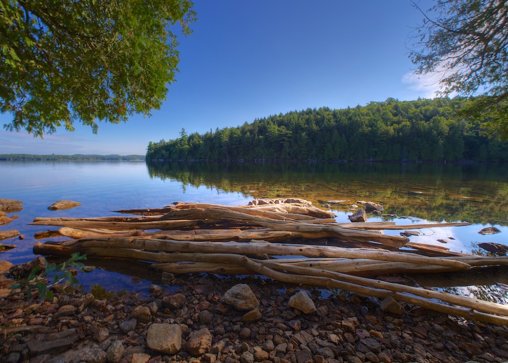 Réserve faunique Papineau-Labelle.