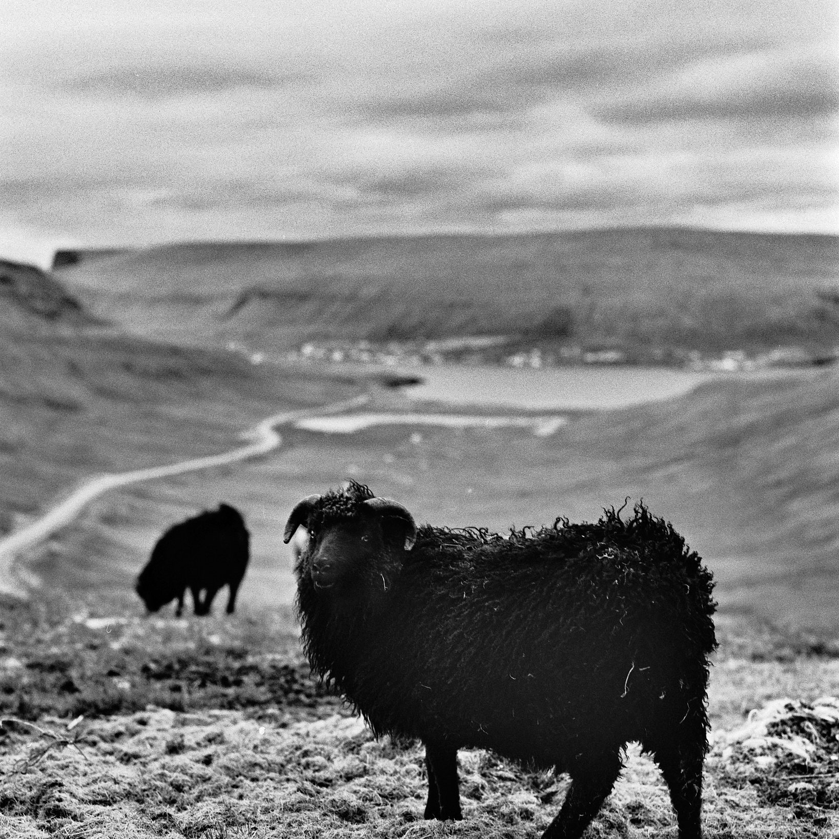 Féroé, Île de Eysturoy
