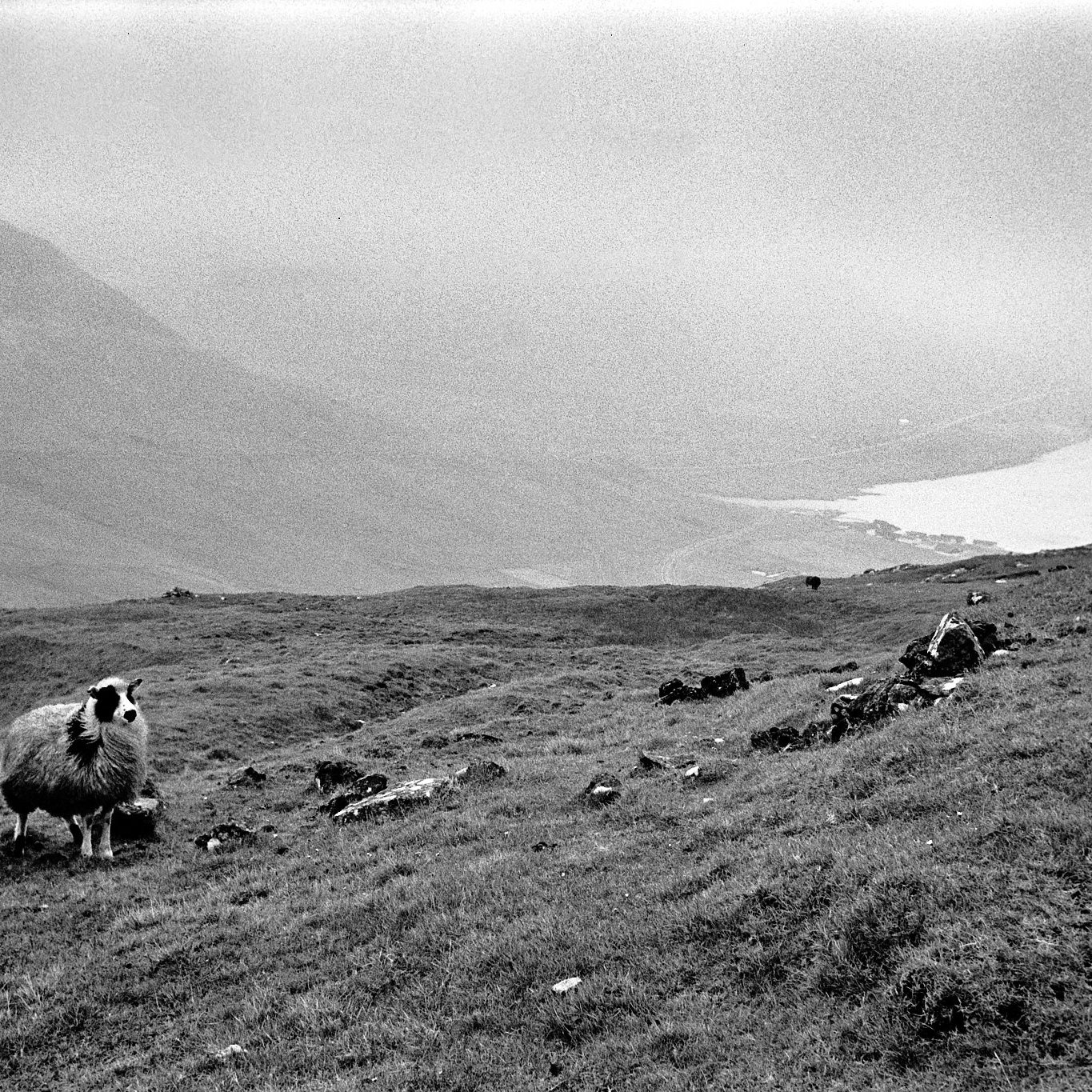 Féroé, Île de Suduroy