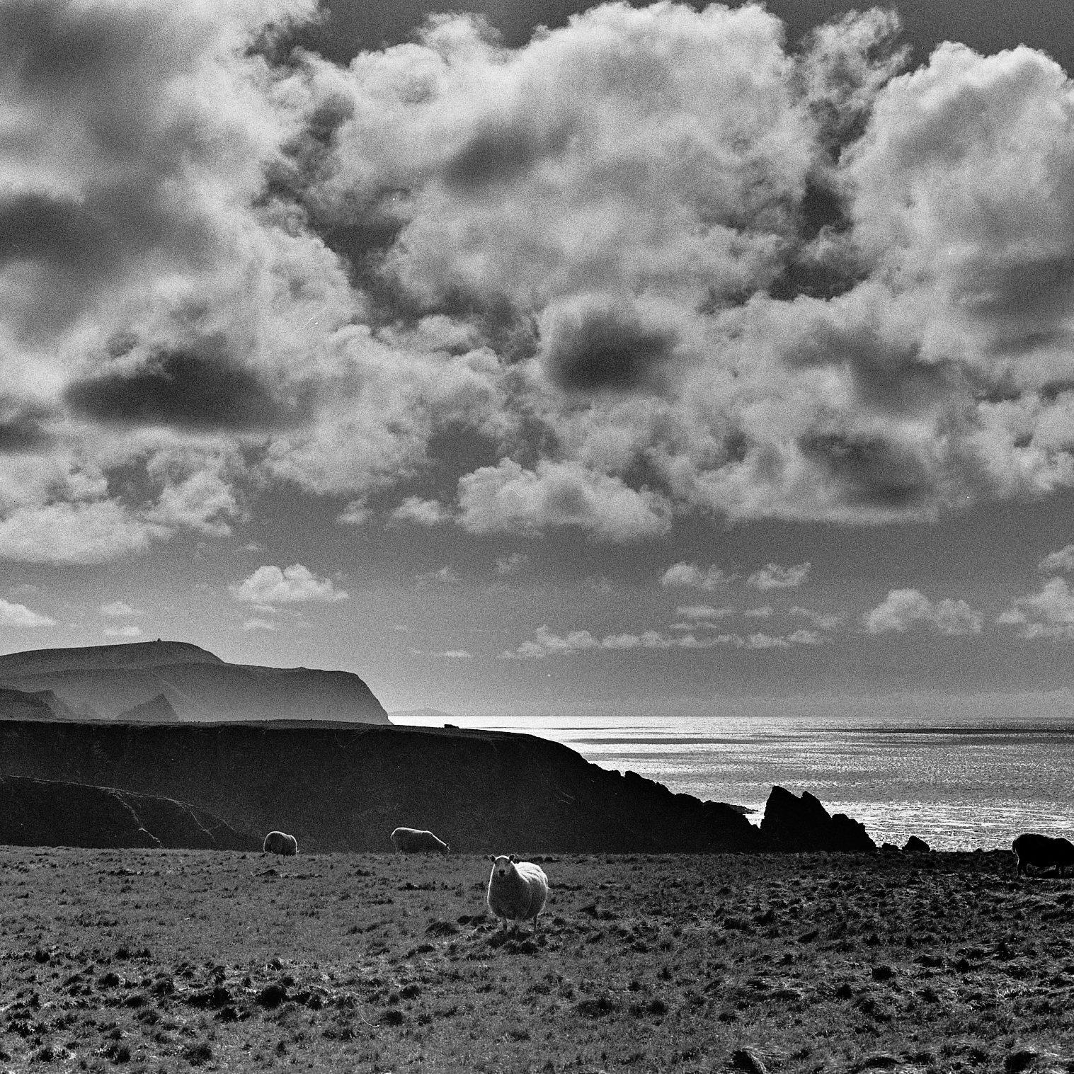 Shetland, Île principale