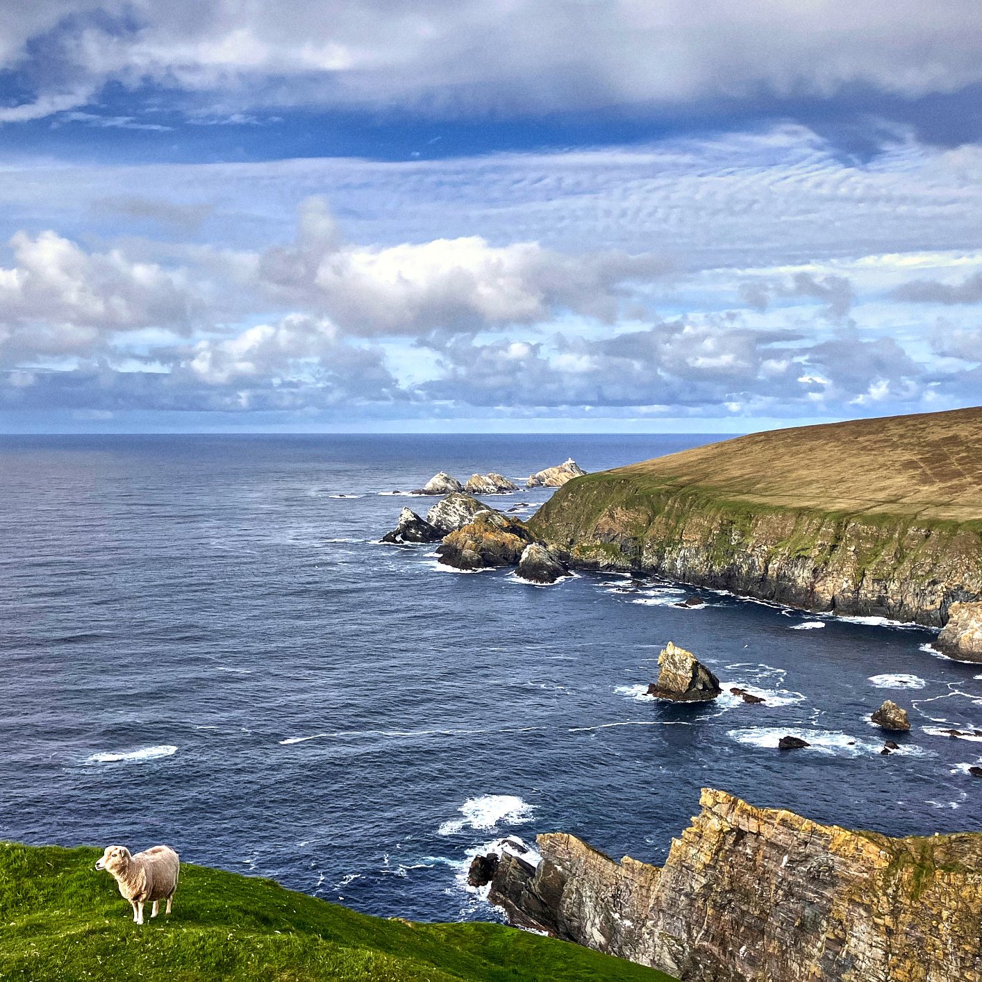 Shetland, Île de Unst