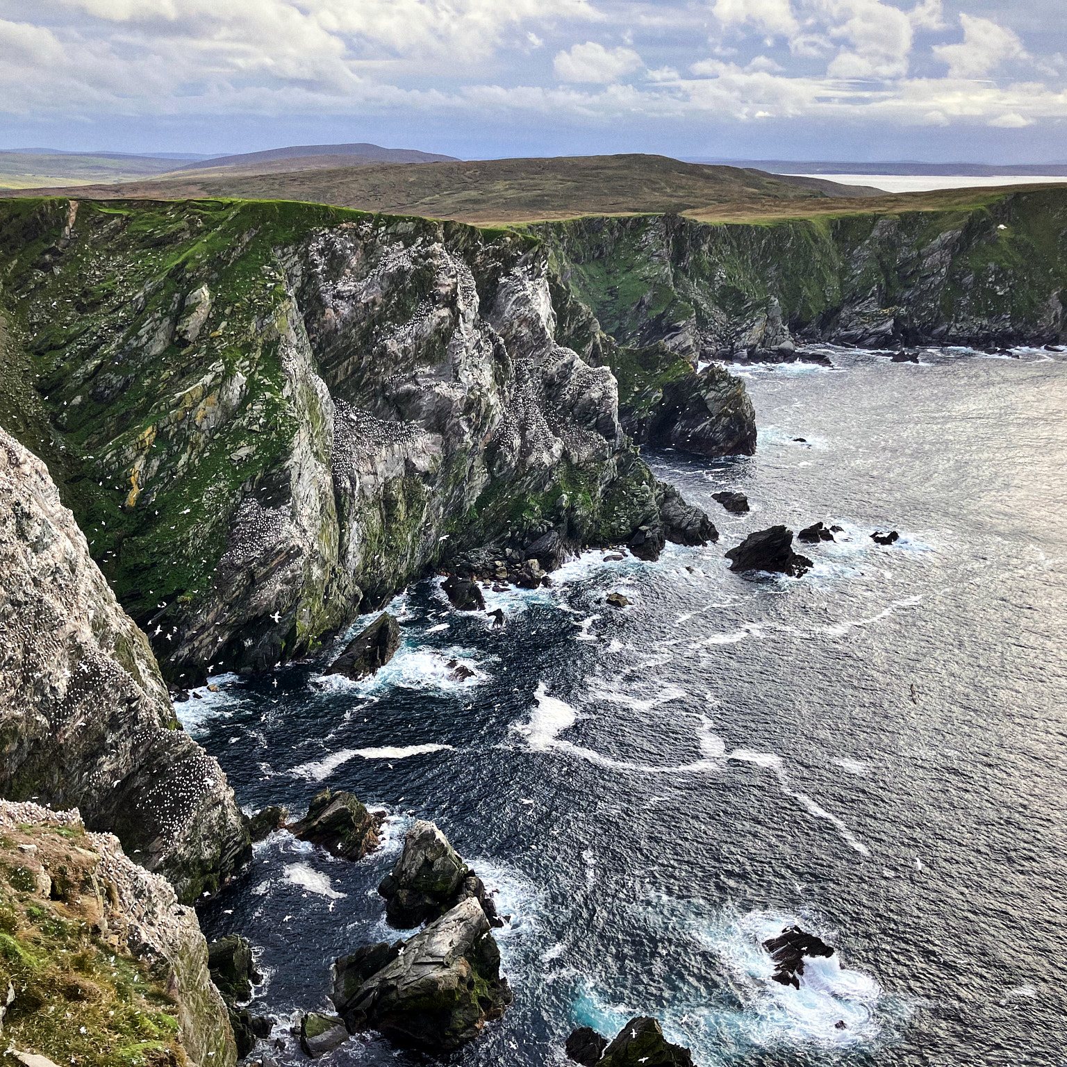 Shetland, Île de Unst
