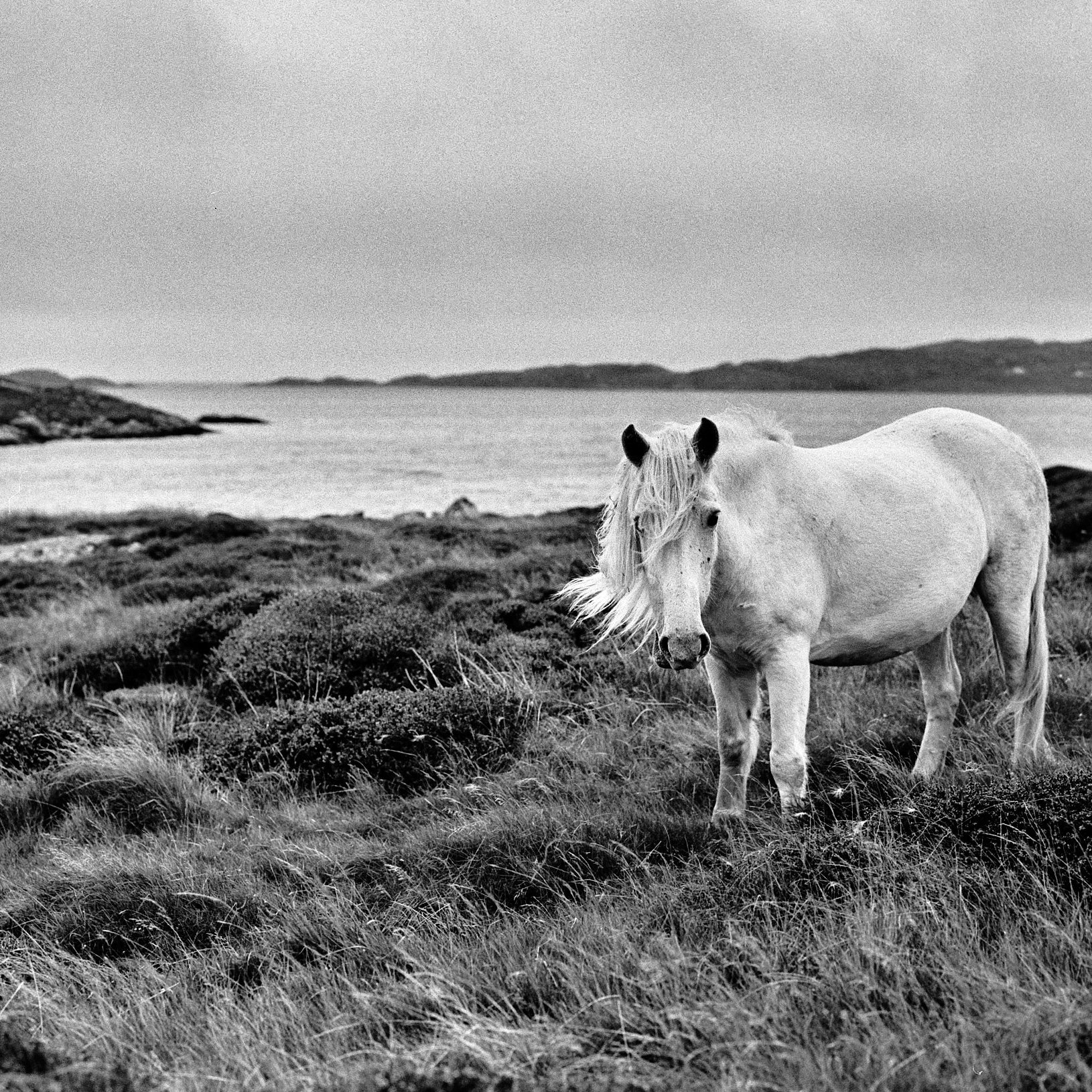 Hébrides extérieures, Île de South Uist